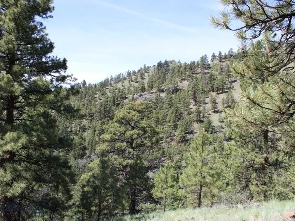 6 Pine Coulee Ln, Cascade, MT 59421