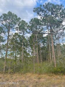 1284 Lexington Road, Southport, NC, 28461