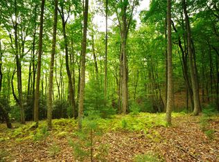 381 Stoneledge Trl, Arden, NC 28704