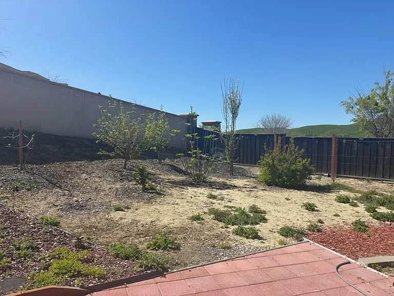 2896 Mount Dana Dr — Photo 17