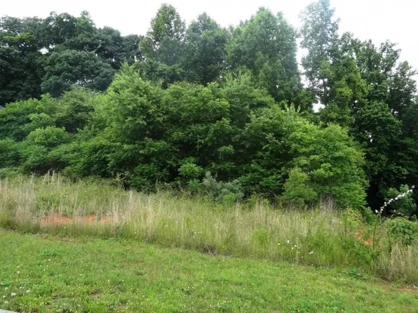 160 Sugarcane Ln, Blountville, TN 37617