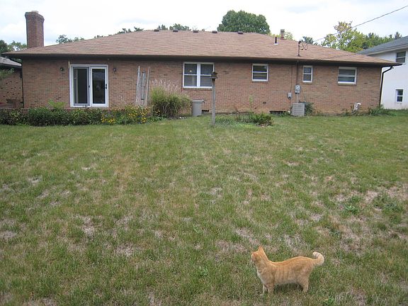 Back yard