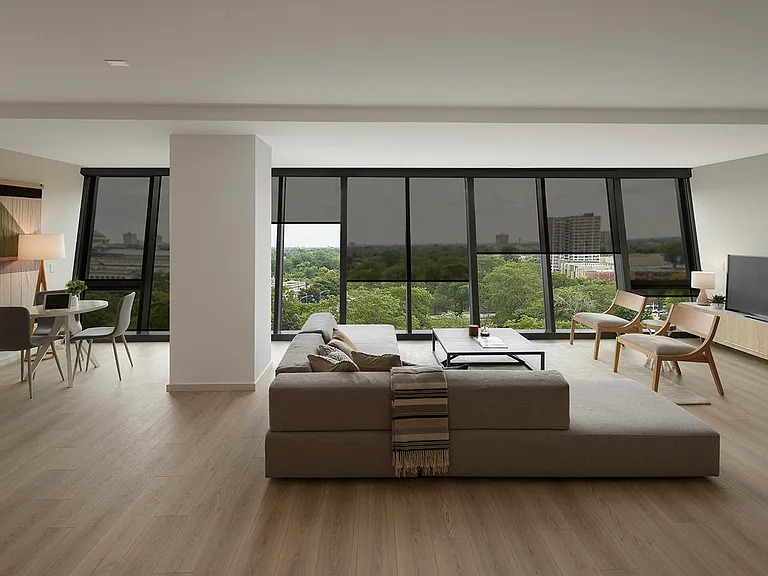 Dining/Living room