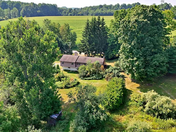 19120 Leroy Rd, Leroy, MI 49655