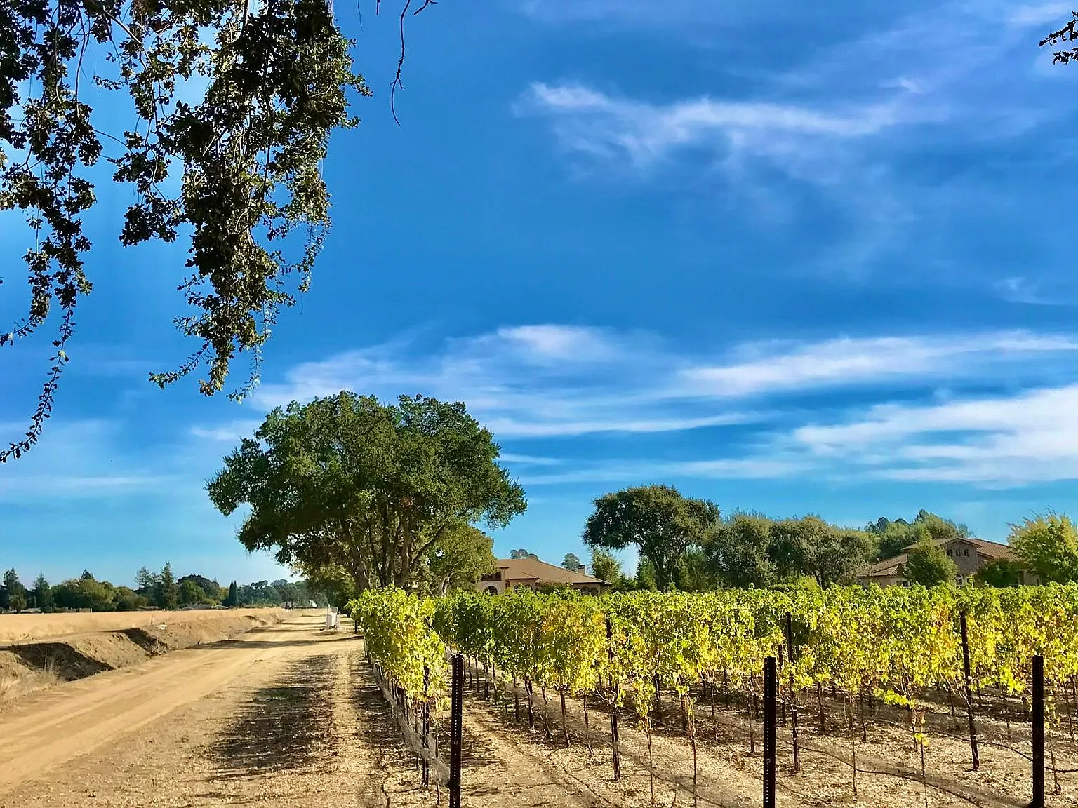 4100 Suisun Valley Rd — Photo 3