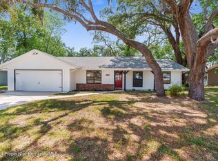 1139 Desmond Ave, Spring Hill, FL 34608