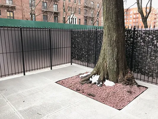 Rented by Rise BK LLC | media 11