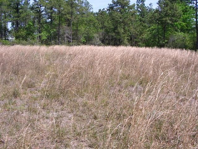 1st image of 705 Levis Ln