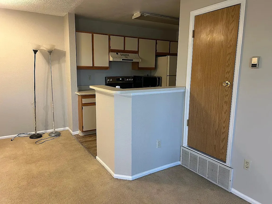 1 bed, 705 sqft, $1,250 — Photo 3