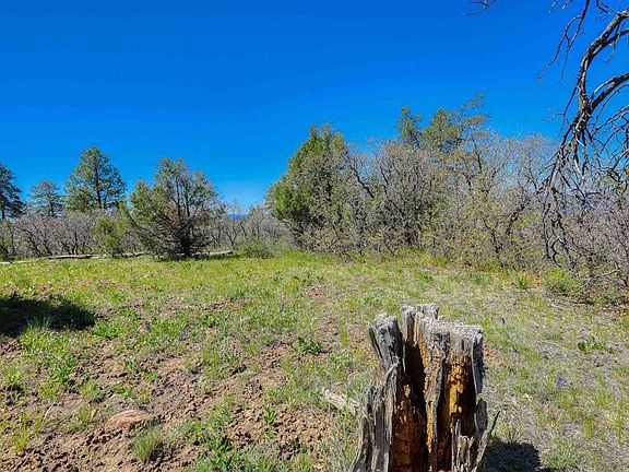 2nd image of 3367 Ranchland Drive