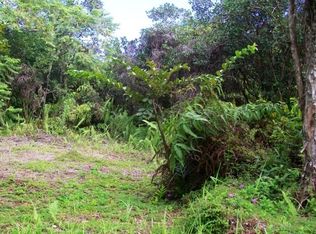 865 Manono St LOT 1236, Hilo, HI 96720