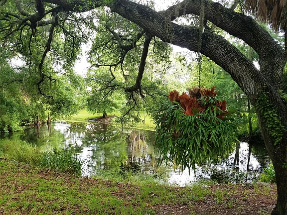 Side yard overlooking lake..