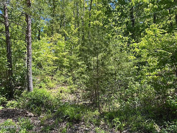2nd image of 0 Bowman Dr