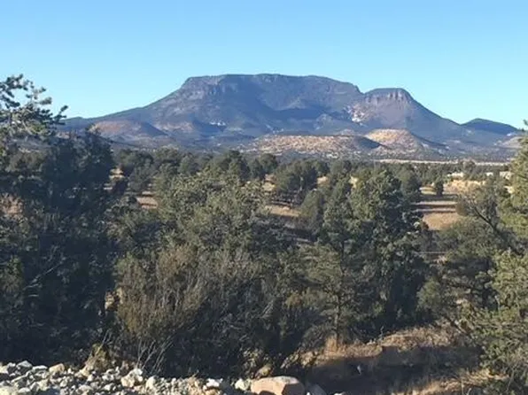 37 Bluebird Dr, Datil, NM 87821