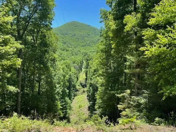 1629 White Rock Rd, Cullowhee, NC 28723
