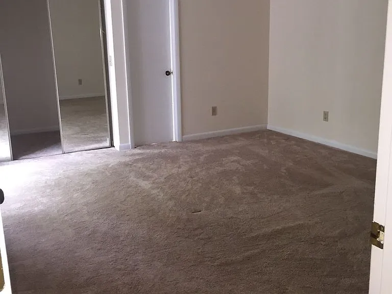 236 Brookberry Cir — Photo 19