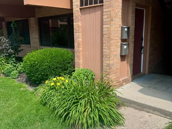 23 College Ave SE APT 7, Grand Rapids, MI 49503