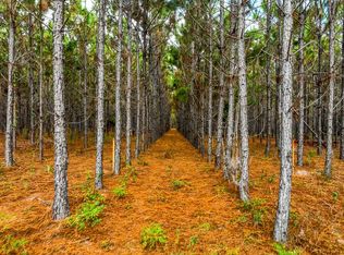 0 NW 78th Ave, High Springs, FL 32643