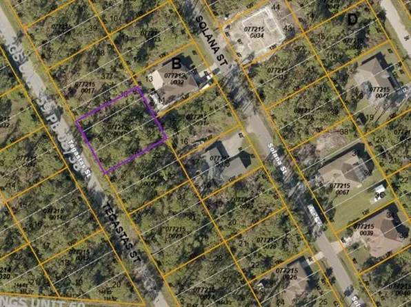 Tegastas St Lot 34, North Pt, FL 34287