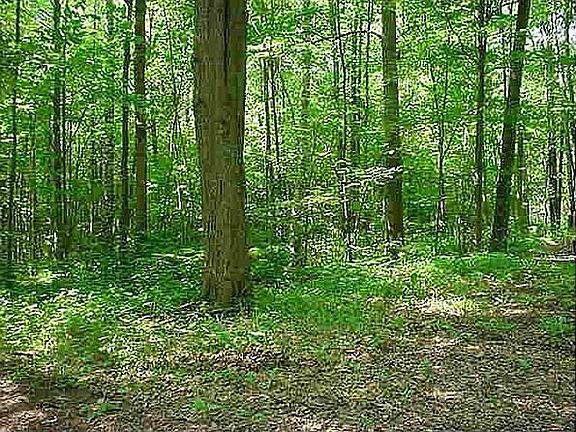 26 wooded acres