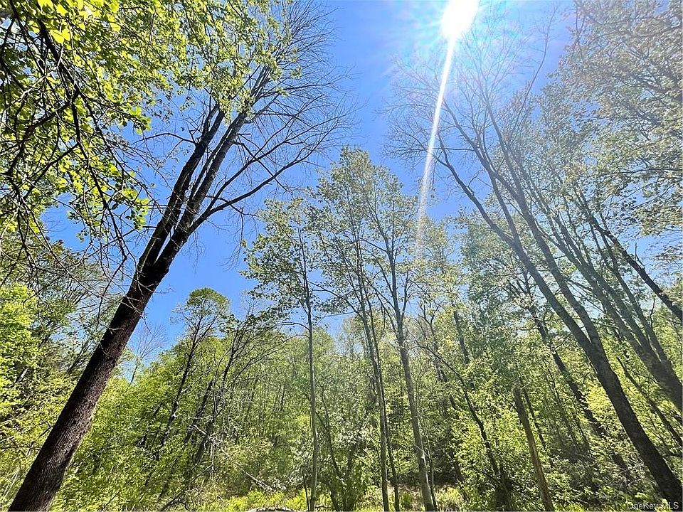 Tr 14, Fremont Center, NY 12736 Zillow