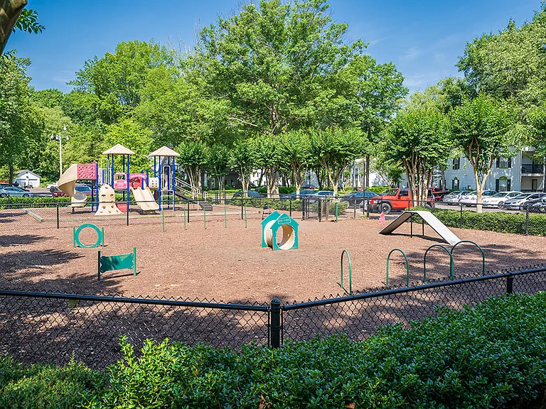 Savannah Creek — Photo 35