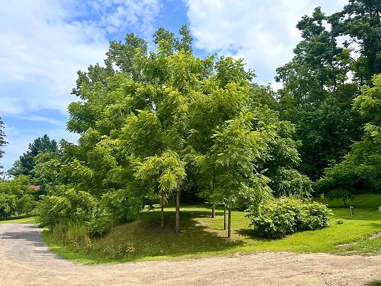 1784 State Route 9J #5 — Photo 12