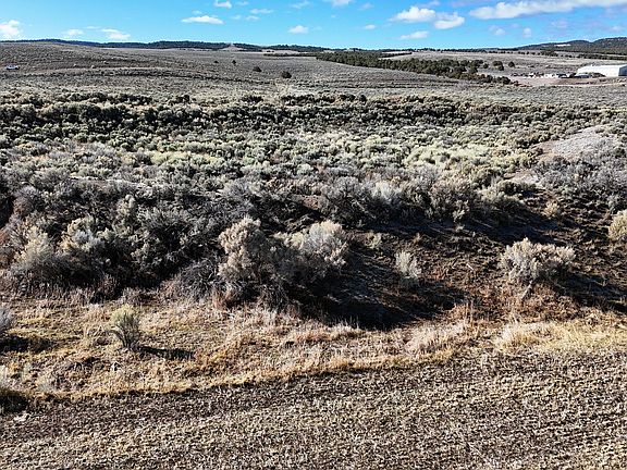 5th image of 123 E Henrie Rd