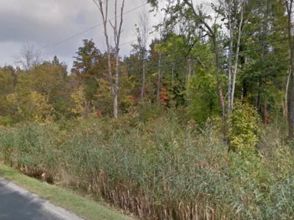 Pitts Rd, Wellington, OH 44090