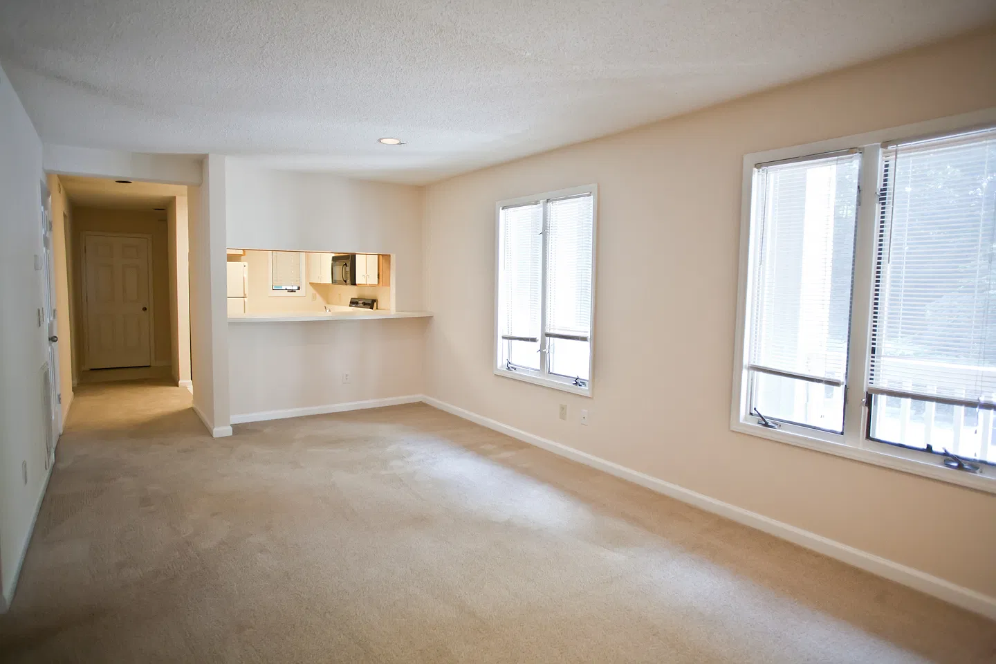 Wonderful 4BR garden apartment a few blocks from UNC. On the bus line! — Photo 1