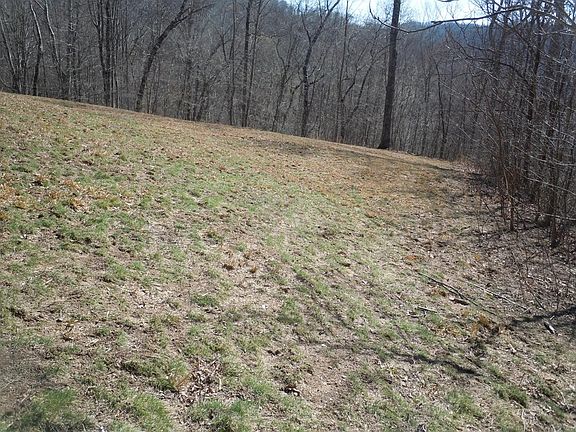 5th image of 530 Woodland Loop