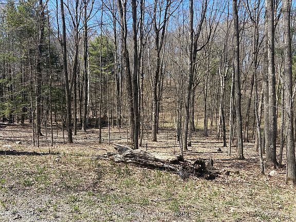 4th image of LOT 2 Sweetfern Ln