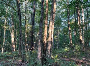 N Caribou Trl, Irons, MI 49644