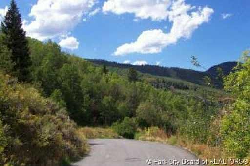 2nd image of 408 Deer Valley Loop Lot 1