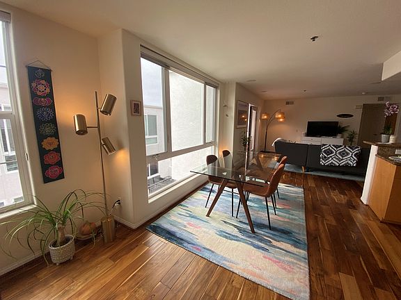 open concept living area with huge south facing windows