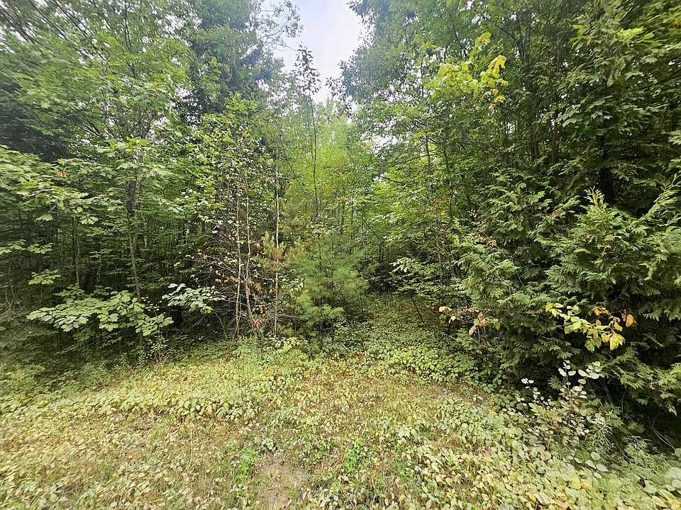 2nd image of 596 Clark Road