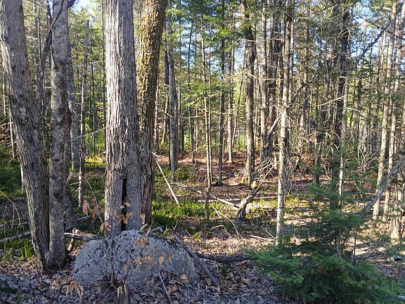 3rd image of Lot#47-3 Grafton Pond Road