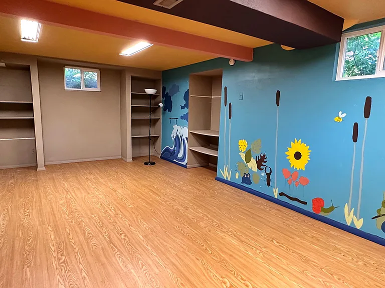 Basement living room