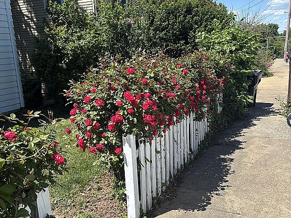 2nd image of 212 Thornrose Ave