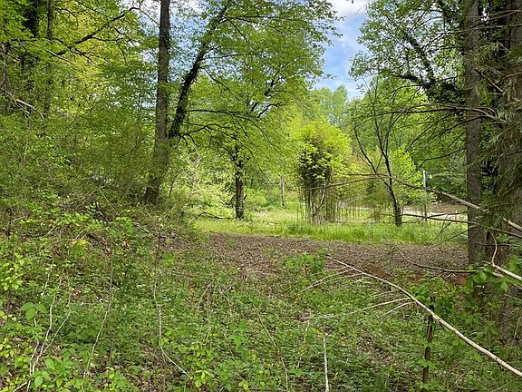 5th image of 38 Mountain Laurel Dr