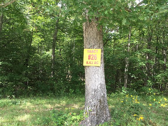 3rd image of Woodland Trl