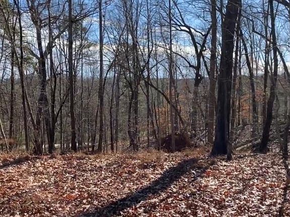 3rd image of 1563 War Hill Park Rd #A