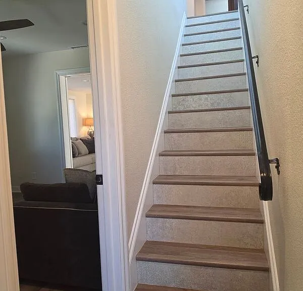 31292 Ysidora St — Photo 30