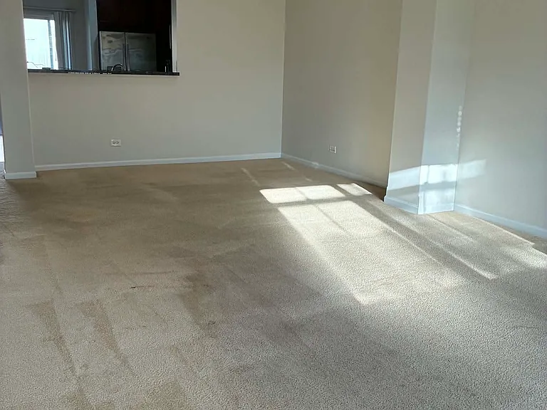 living room - first floor