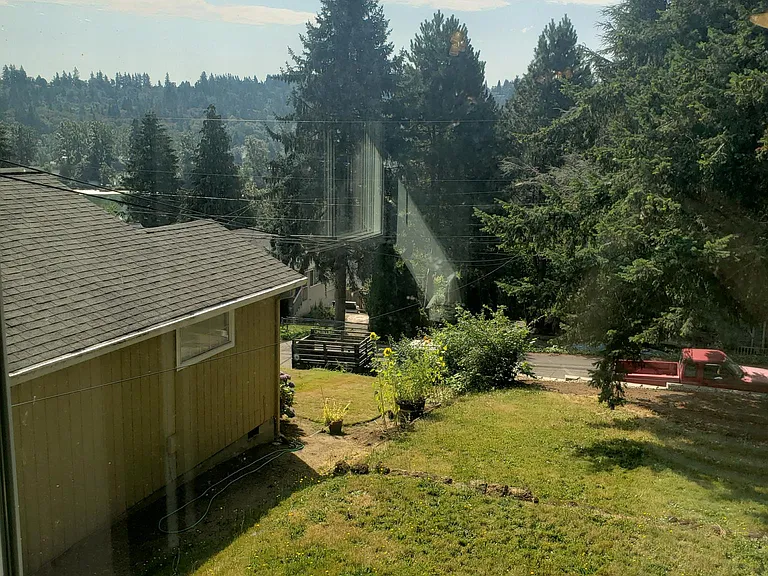 View from living room