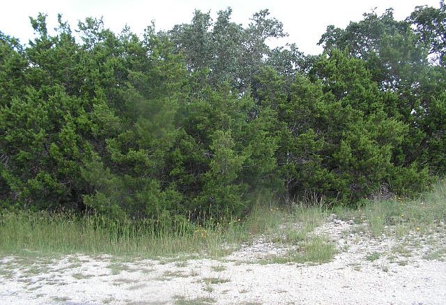 1st image of Ledgeview Dr