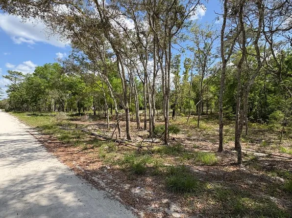  190th Ave, Old Town, FL 32680