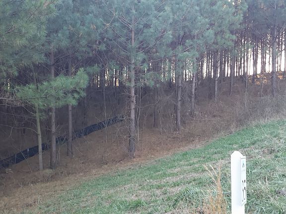 5th image of 35 Fox Paw Leaf Ln