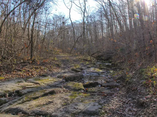 County Farm Rd, Wright City, MO 63390