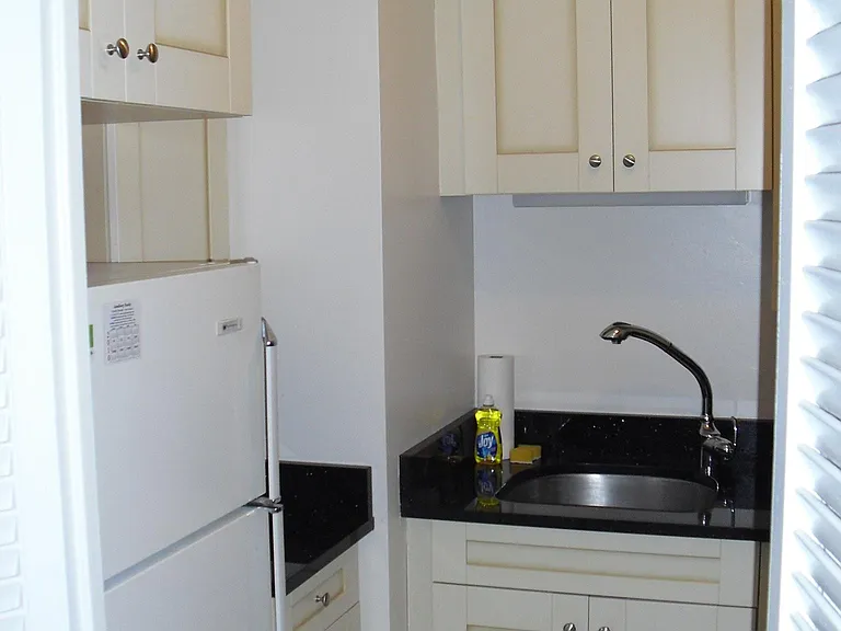 21 W Goethe St #4E — Photo 10